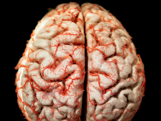 Эксперт рассказал о пользе чипов, вживленных в мозг