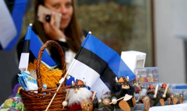 Эстонский депутат назвала лицемерием критику в адрес России