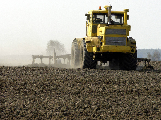 Эксперты спрогнозировали небывалый рост цен на продукты из-за провальной посевной