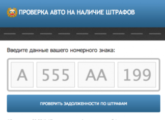 Проверка автомобиля по государственному номеру