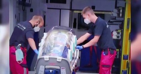 В Евросоюзе заявили о контактах с командой Навального