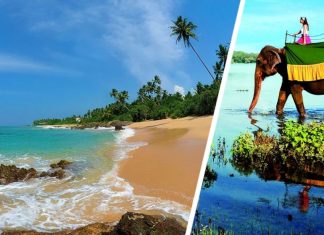 Российские туристы заняли на Шри-Ланке 4 место в январе