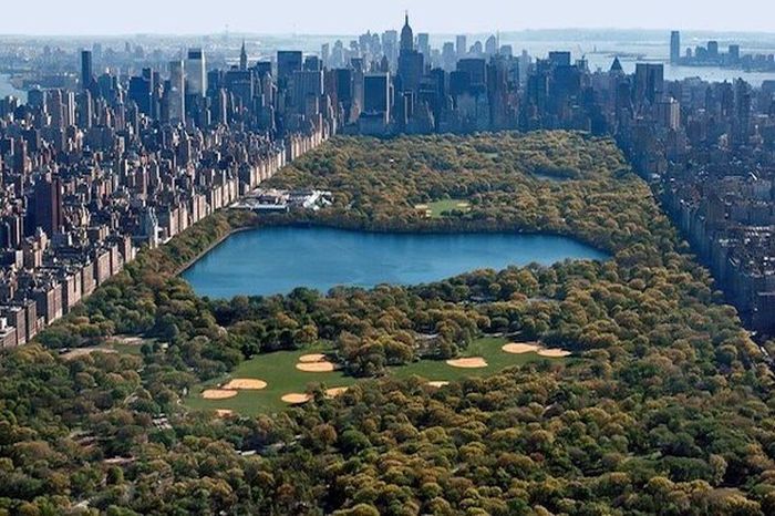 Короткие и любопытные факты обо всем на свете