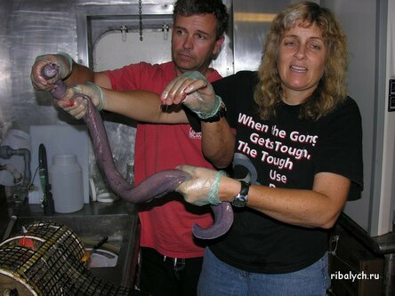 Интересные факты и события со всего мира