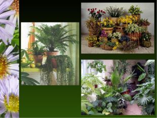 Какую роль играют искусственные цветы в жизни человека?