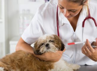 Подготовка документации по ТЦУ: когда начать?