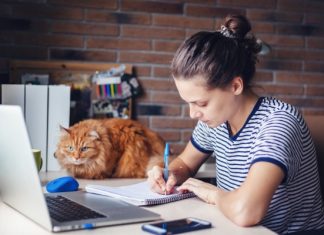 Карантин и эмоциональное состояние — чем можно заняться