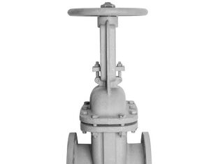 Задвижки 30с41нж: для чего нужны?