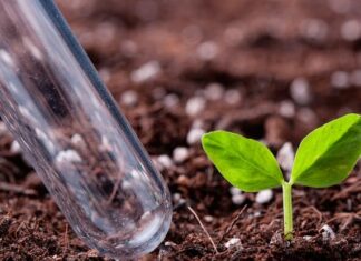 Анализ почвы: методы исследования свойств и состава