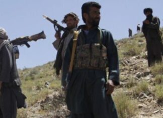 Талибы захотели создать регулярную армию в Афганистане