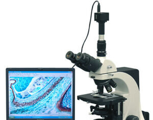 Микроскоп: важнейший прибор, без которого не обойтись при проведении научных исследований