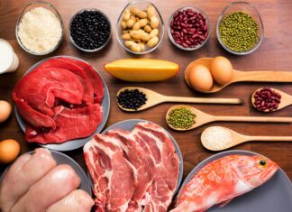 Роль телятины в питании человека