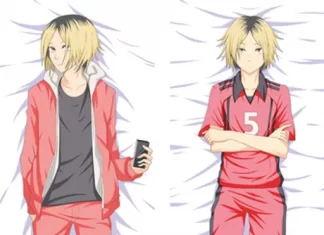 Что представляет собой дакимакура?