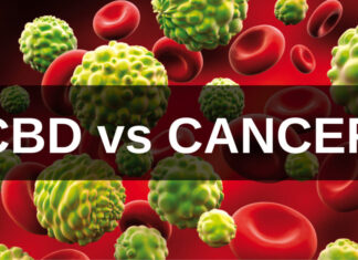 Use of CBD in reducing cancer-related symptoms
