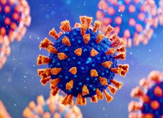 Симптомы Омикрона у взрослых