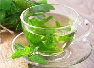 Польза фиточая