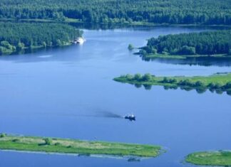 Отдых на Московском море