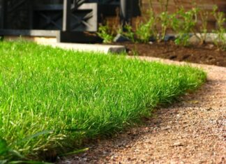 Как ухаживать за газоном?