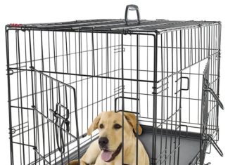 Какие бывают клетки для собак?