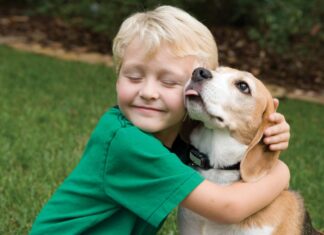 Питомец для ребенка: правила выбора