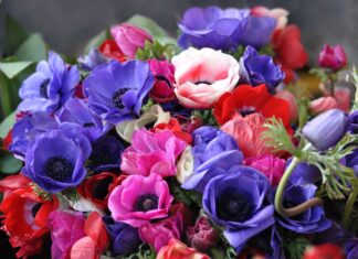 Букет цветов: беспроигрышный подарок по любому случаю