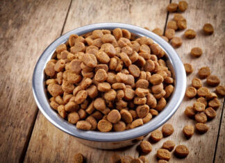 На что обратить внимание при покупке собачьего корма?