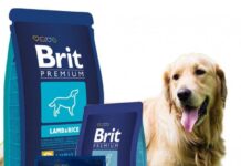 КОРМ БРИТ ДЛЯ СОБАК: ОТЗЫВЫ ВЕТЕРИНАРОВ