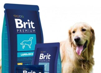 КОРМ БРИТ ДЛЯ СОБАК: ОТЗЫВЫ ВЕТЕРИНАРОВ