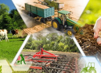 Агровектор: удобная торговая площадка для агропромышленности в Украине