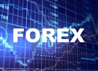 Как выбрать брокера Форекс?