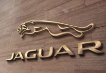 Какую вывеску лучше сделать для магазина?