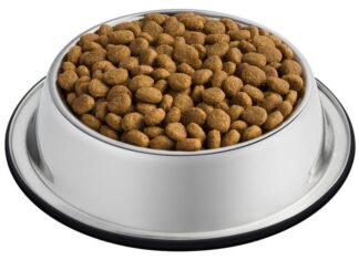 Советы ветеринаров по выбору корма для кошки