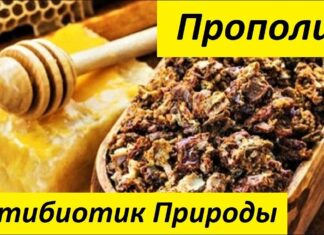 Полезные свойства пчелиного прополиса