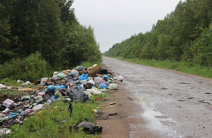 
Многотысячные штрафы ожидают россиян за мусор, выброшенный из окна машины, и другие отходы                