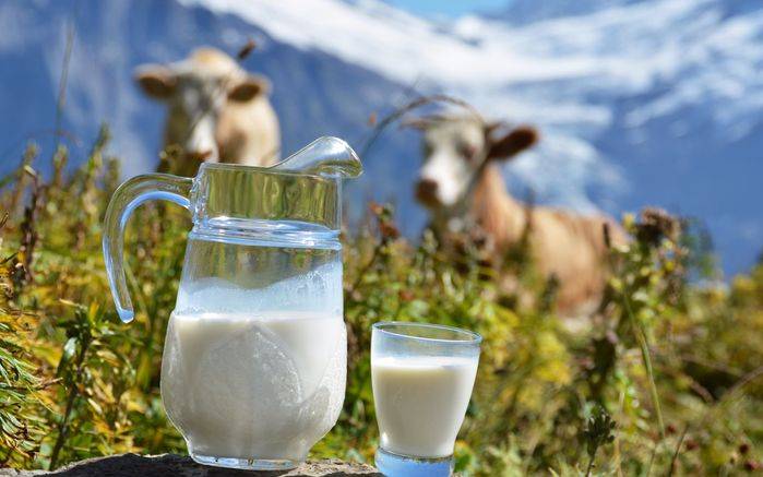 
Почему на Мавру Рассадницу 16 мая было запрещено проливать молоко                