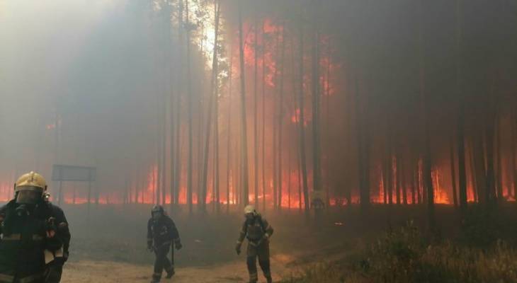 
Пожары в Курганской, Тюменской, Свердловской областях: последние новости на 10 мая 2023 года                