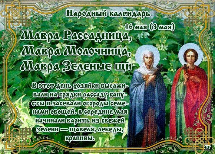 
Православные сегодня, 16 мая 2023 года, вспоминают мученицу Мавру и мученика Тимофея                