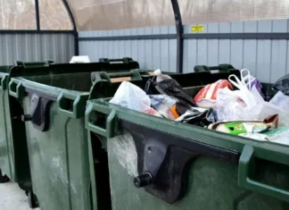 Почему важно вывозить мусор?