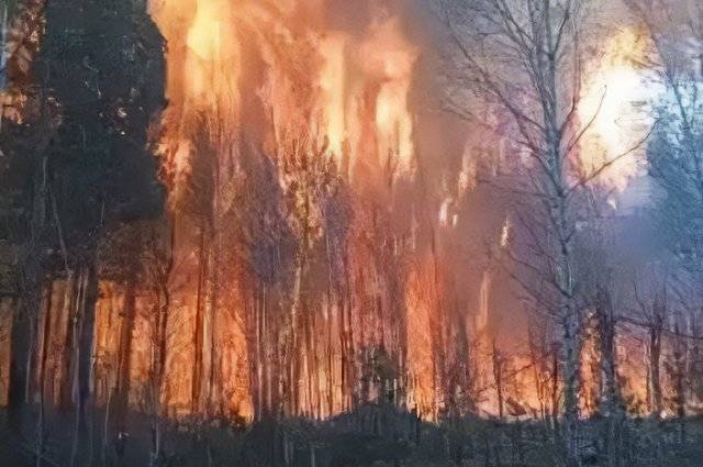 
Что происходит с лесными пожарами в Якутии и на Колыме                