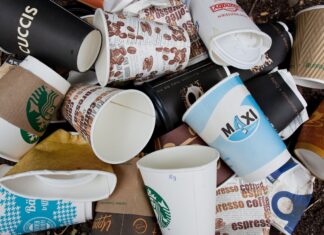 Бумажные стаканчики: социальная значимость и экологическая ответственность