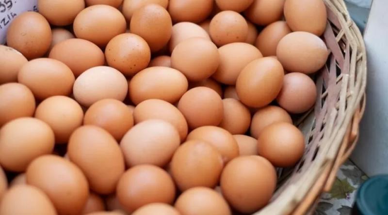 
Десяток яиц к новому году может достигнуть 200 рублей: почему происходит «яичная инфляция» в Сибири?                
