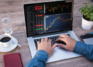 Что предлагает биржа Tegro.Finance?