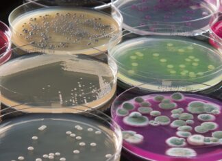 Инновационные методы в микробиологии