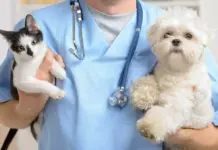 Ветеринарный центр для животных