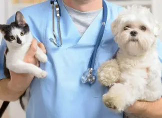 Ветеринарный центр для животных