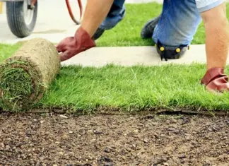 Правильная укладка рулонного газона