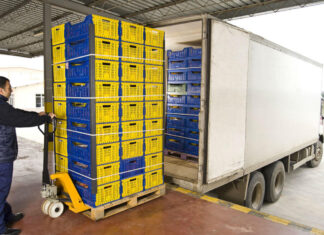 Как рефрижераторные перевозки обеспечивают свежесть продуктов в торговых сетях