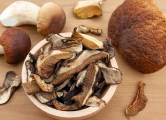 Целебные грибы сушеные: удивительные свойства и польза для здоровья