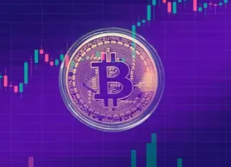 Как сигналы криптовалют в Telegram могут изменить ваш подход к трейдингу