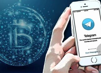 Топовые Telegram-каналы о криптовалюте: где найти лучшие советы и свежие новости